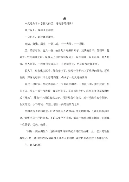 兰_小学作文