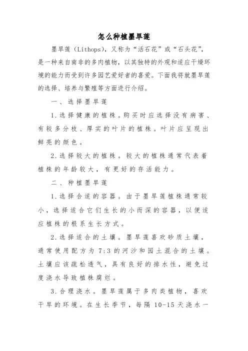 怎么种植墨旱莲