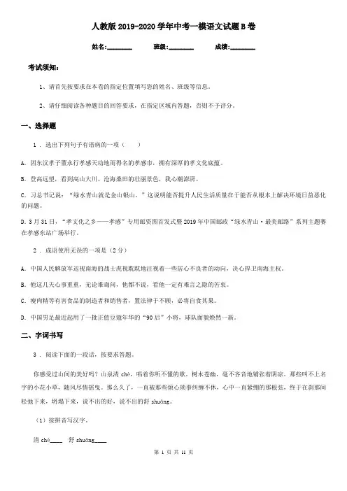 人教版2019-2020学年中考一模语文试题B卷(测试)