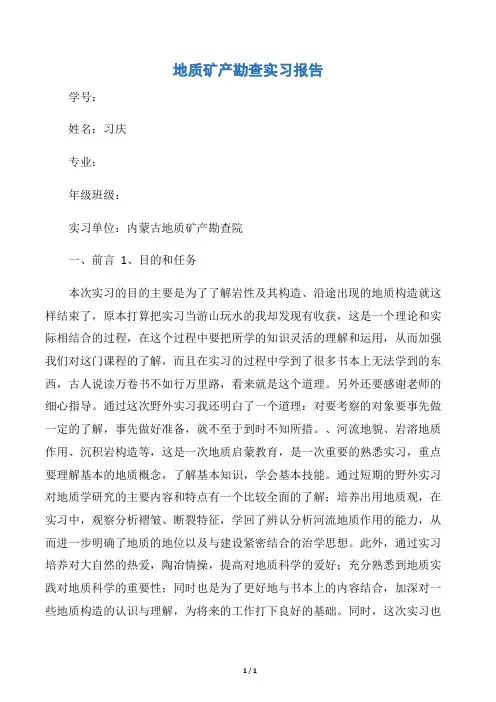 【实习报告】地质矿产勘查实习报告