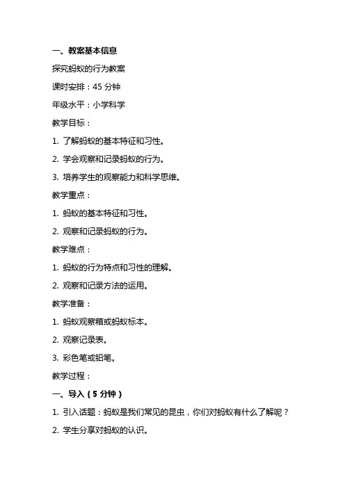 探究蚂蚁的行为教案