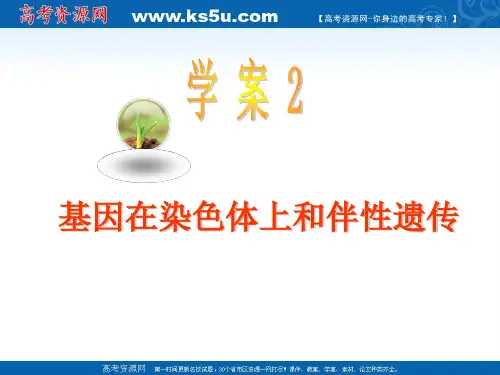 2012届高考生物一轮复习课件：2-2基因在染色体上和伴性遗传人教版必修2教程文件