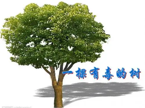 一棵有毒的树