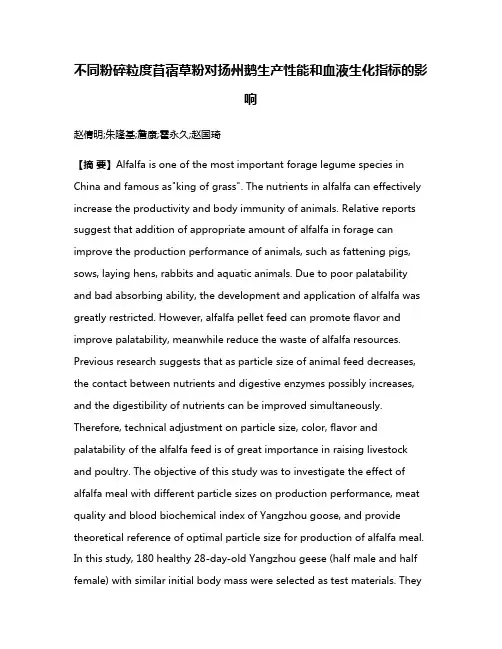 不同粉碎粒度苜蓿草粉对扬州鹅生产性能和血液生化指标的影响