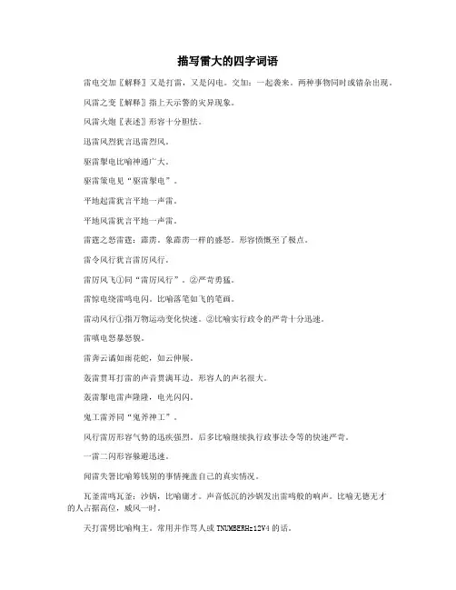 描写雷大的四字词语