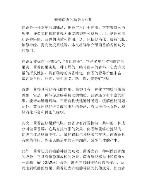 新鲜茴香的功效与作用