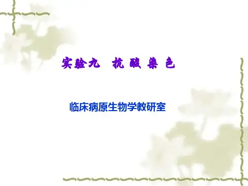 抗酸染色