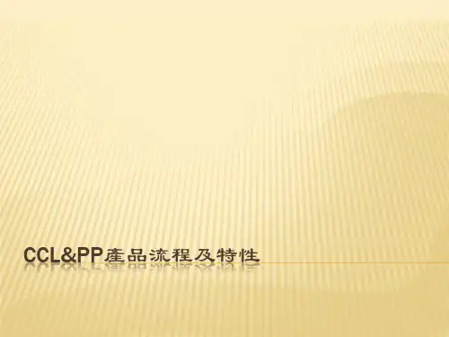 CCL&PP产品流程及特性
