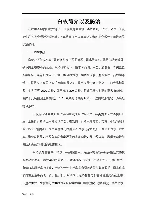 白蚁简介以及防治