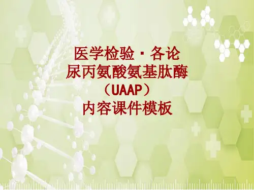医学检验·检查项目：尿丙氨酸氨基肽酶(UAAP)_课件模板