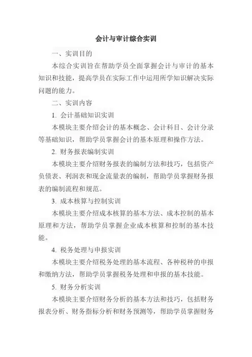 会计与审计综合实训