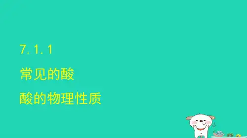 九年级化学下册 第7单元 常见的酸和碱7.1酸及其性质第1课时课件 鲁教版