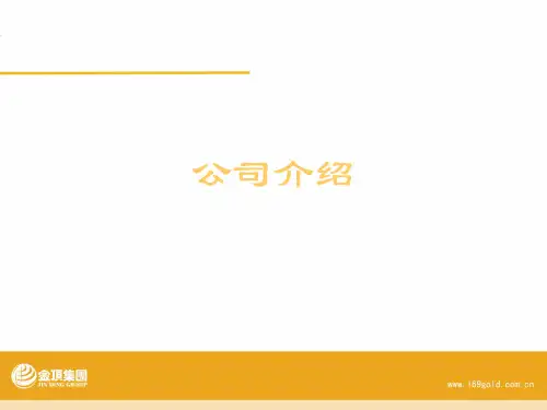 金顶集团介绍