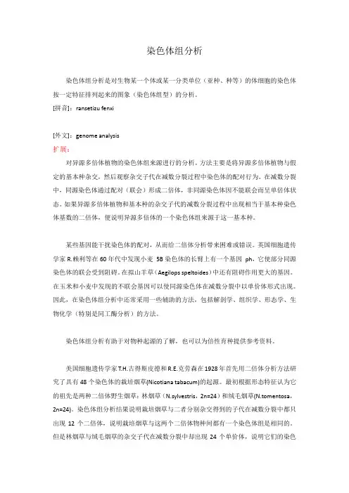 染色体组型分析名词解释
