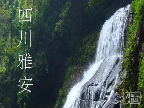 四川雅安碧峰峡PPT精选文档