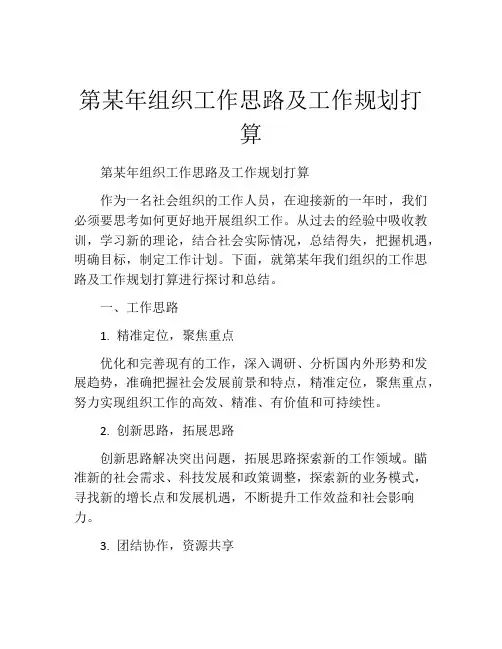 第某年组织工作思路及工作规划打算