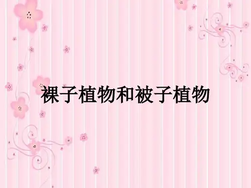 裸子植物和被子植物