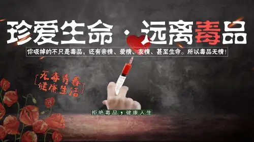 珍爱生命  远离毒品——禁毒教育主题班会课件