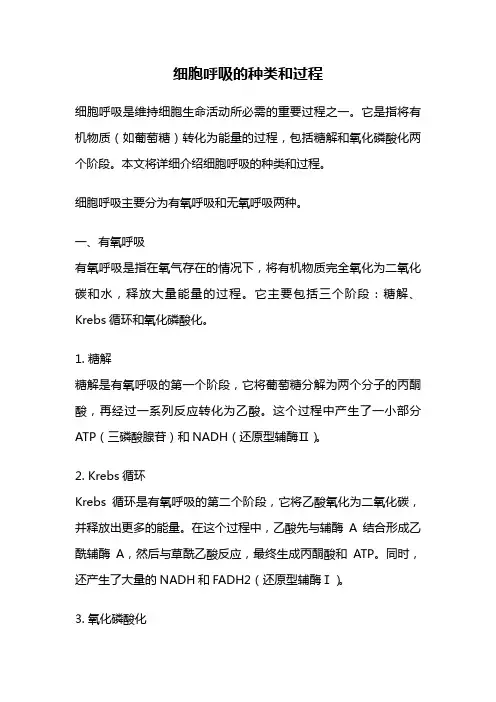 细胞呼吸的种类和过程