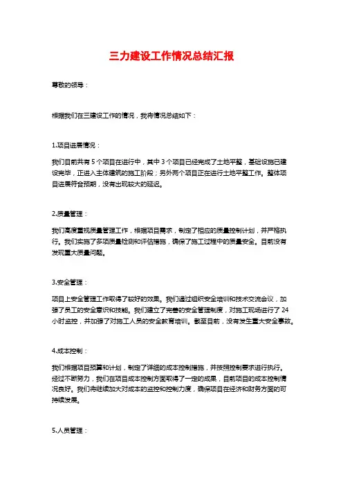 三力建设工作情况总结汇报 (2)