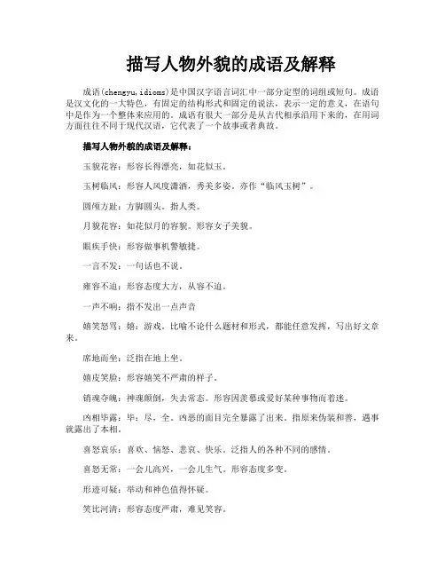 描写人物外貌的成语及解释