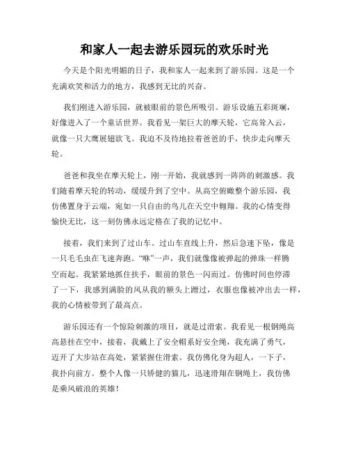 三年级作文那次玩得真高兴之和家人一起去游乐园玩的欢乐时光