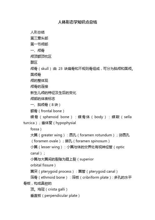 人体形态学知识点总结