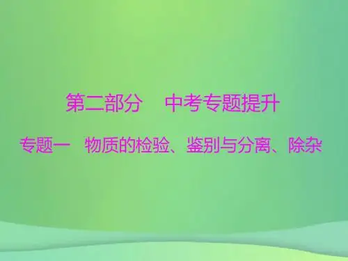 中考化学第二部分中考专题提升专题一物质的检验、鉴别