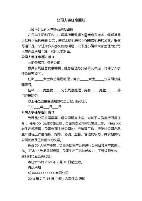 【精华】公司人事任命通知四篇