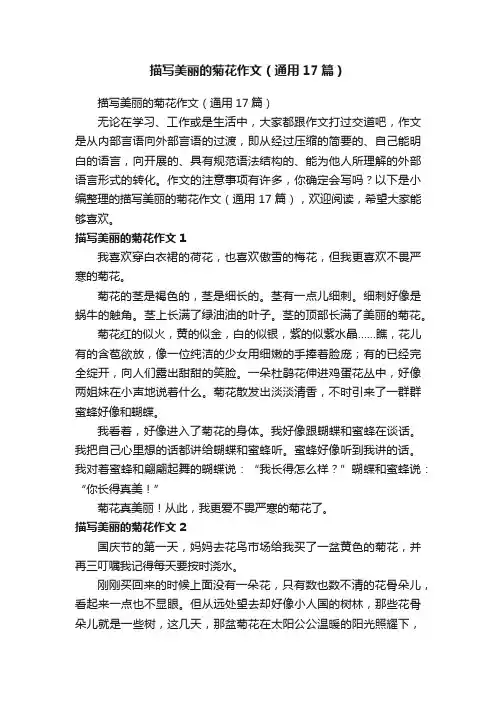 描写美丽的菊花作文（通用17篇）