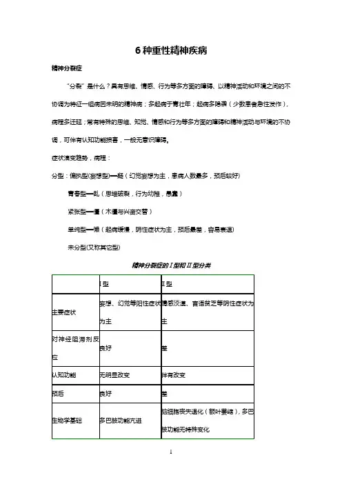 6种重性精神疾病