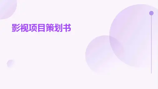 影视项目策划书PPT