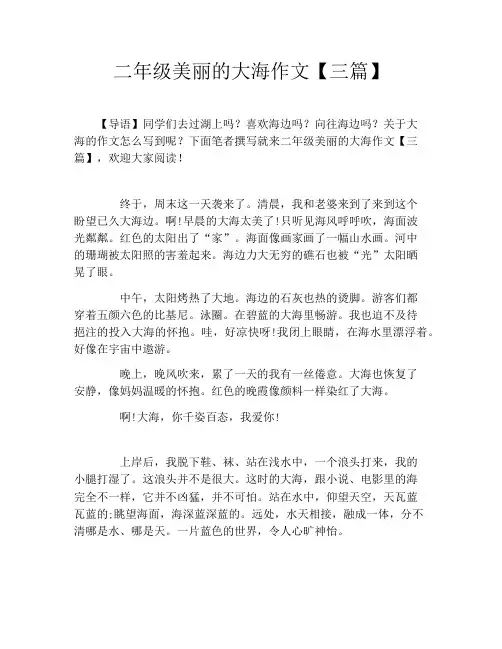 二年级美丽的大海作文【三篇】