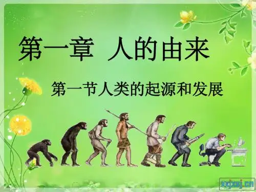 人类的起源和发展