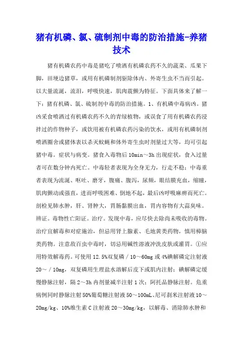 猪有机磷、氯、硫制剂中毒的防治措施 - 养猪技术
