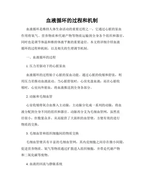 血液循环的过程和机制