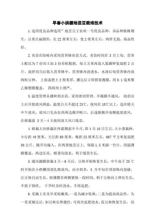 早春小拱棚地芸豆栽培技术