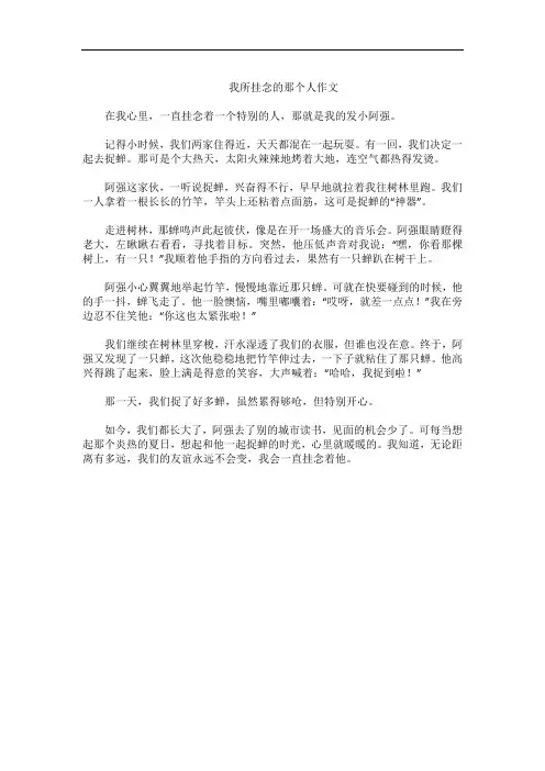 我所挂念的那个人作文