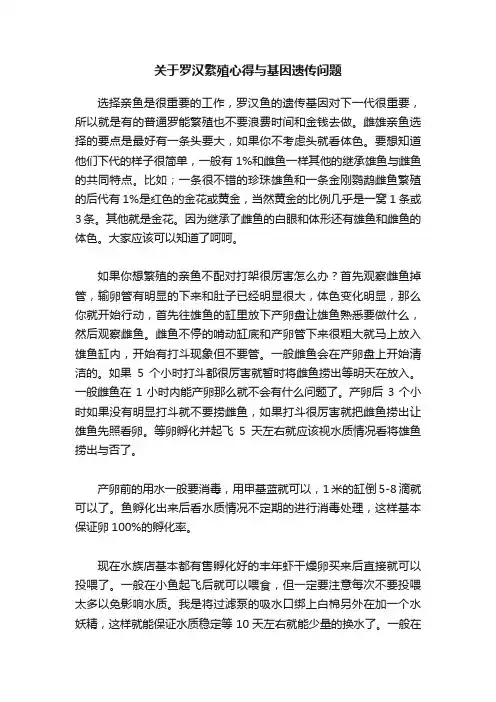 关于罗汉繁殖心得与基因遗传问题