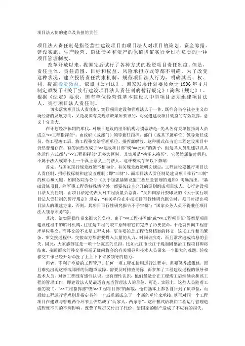 项目法人制的建立及负担的责任