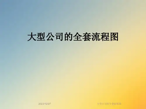 大型公司的全套流程图
