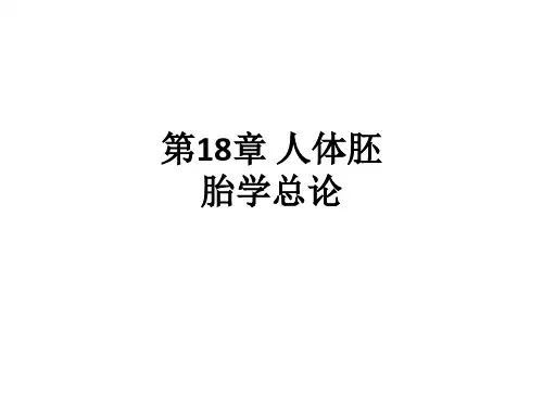 第18章 人体胚胎学总论ppt课件