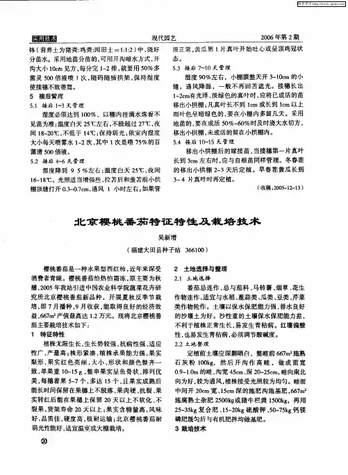 北京樱桃番茄特征特性及栽培技术