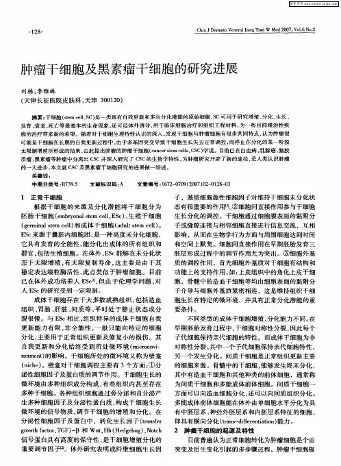 肿瘤干细胞及黑素瘤干细胞的研究进展