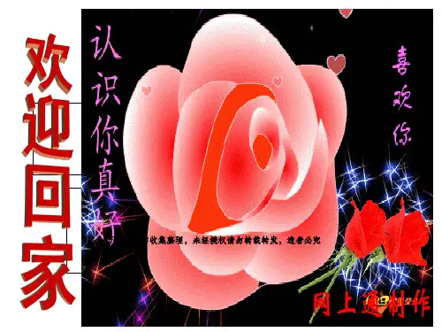 保险公司迎新早会21页