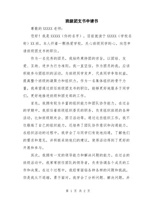 班级团支书申请书