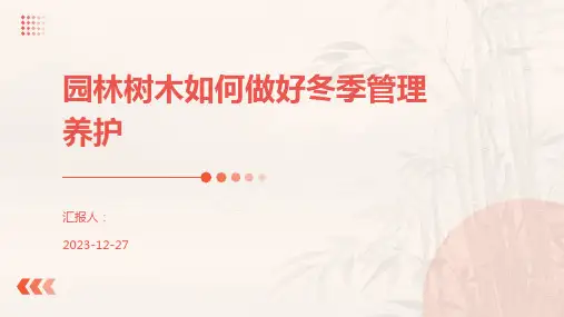 园林树木如何做好冬季管理养护
