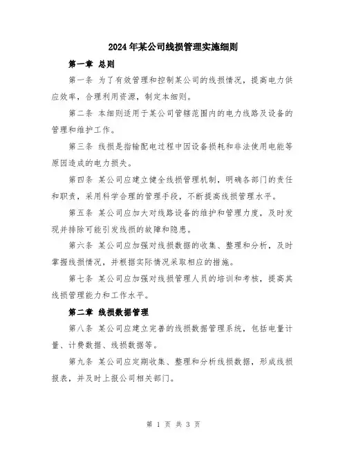 2024年某公司线损管理实施细则