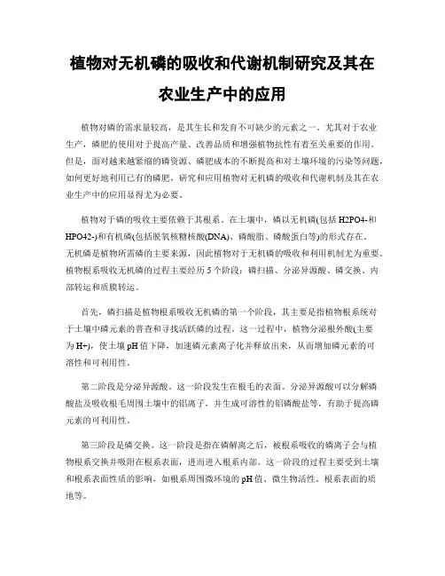 植物对无机磷的吸收和代谢机制研究及其在农业生产中的应用