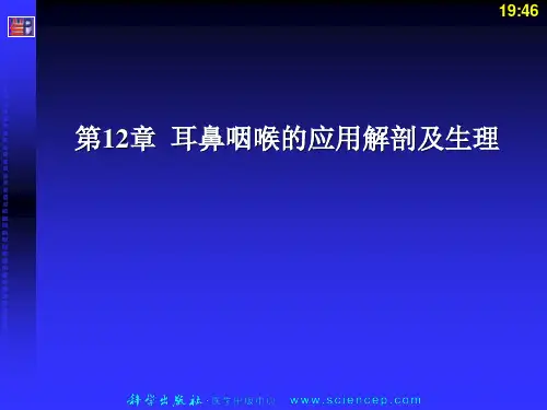 耳鼻咽喉的应用解剖及生理ppt课件